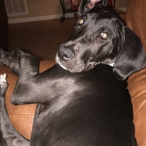 Meet your Posher, Anna